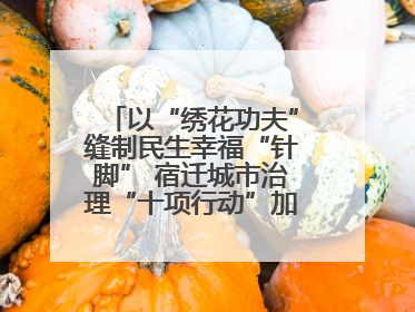 以“绣花功夫”缝制民生幸福“针脚” 宿迁城市治理“十项行动”加速落地