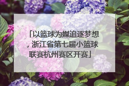 以篮球为媒追逐梦想，浙江省第七届小篮球联赛杭州赛区开赛