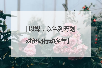 以媒：以色列筹划对伊朗行动多年