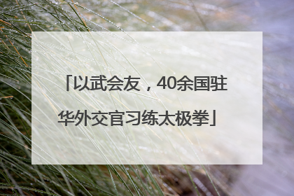 以武会友，40余国驻华外交官习练太极拳