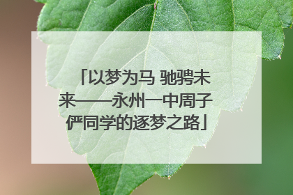 以梦为马 驰骋未来——永州一中周子俨同学的逐梦之路