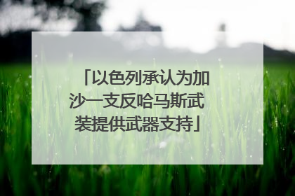 以色列承认为加沙一支反哈马斯武装提供武器支持