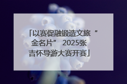 以赛促融锻造文旅“金名片” 2025张吉怀导游大赛开赛
