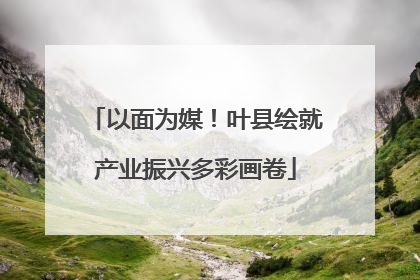 以面为媒！叶县绘就产业振兴多彩画卷