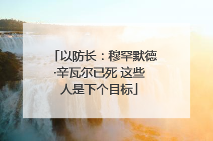 以防长：穆罕默德·辛瓦尔已死 这些人是下个目标
