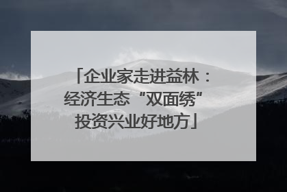 企业家走进益林：经济生态“双面绣” 投资兴业好地方