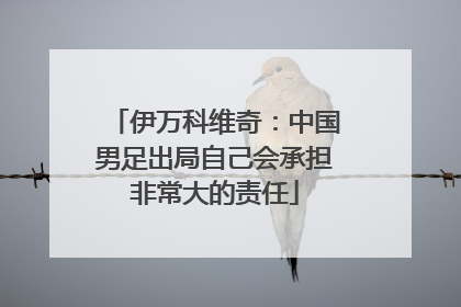 伊万科维奇：中国男足出局自己会承担非常大的责任