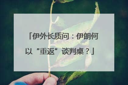 伊外长质问：伊朗何以“重返”谈判桌？