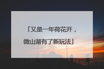 又是一年荷花开，微山湖有了新玩法