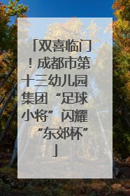 双喜临门！成都市第十三幼儿园集团“足球小将”闪耀“东郊杯”