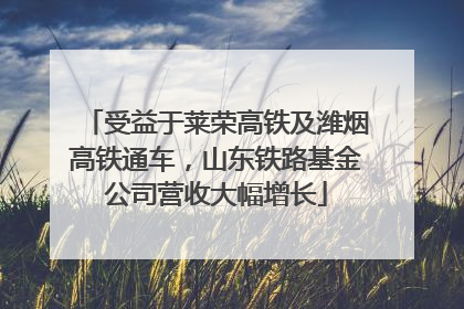 受益于莱荣高铁及潍烟高铁通车，山东铁路基金公司营收大幅增长