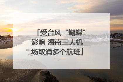 受台风“蝴蝶”影响 海南三大机场取消多个航班