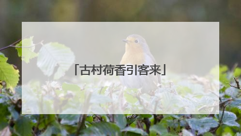 古村荷香引客来