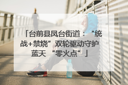 台前县凤台街道：“统战+禁烧”双轮驱动守护蓝天 “零火点”