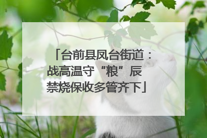 台前县凤台街道：战高温守“粮”辰 禁烧保收多管齐下