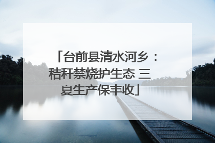 台前县清水河乡：秸秆禁烧护生态 三夏生产保丰收