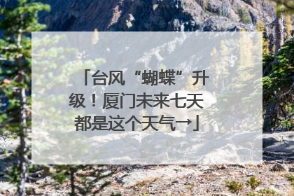 台风“蝴蝶”升级！厦门未来七天都是这个天气→