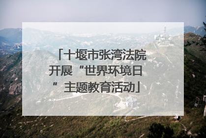 十堰市张湾法院开展“世界环境日”主题教育活动