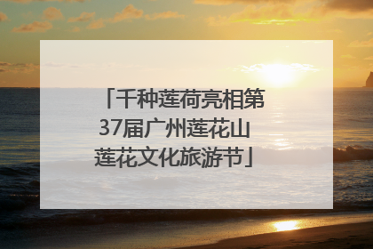 千种莲荷亮相第37届广州莲花山莲花文化旅游节