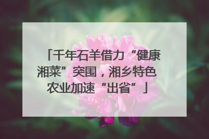 千年石羊借力“健康湘菜”突围，湘乡特色农业加速“出省”