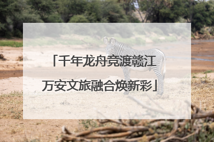 千年龙舟竞渡赣江 万安文旅融合焕新彩