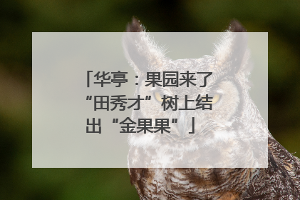 华亭：果园来了“田秀才”树上结出“金果果”