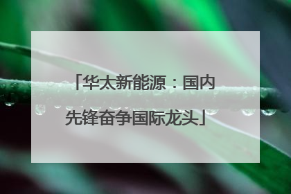 华太新能源：国内先锋奋争国际龙头
