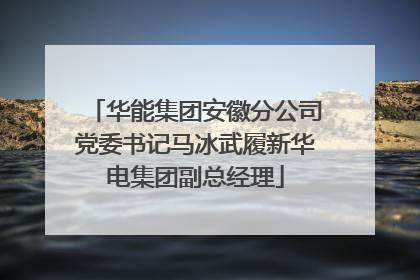 华能集团安徽分公司党委书记马冰武履新华电集团副总经理