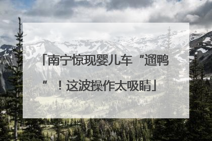 南宁惊现婴儿车“遛鸭”！这波操作太吸睛