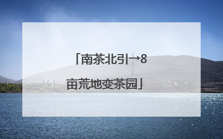 南茶北引→8亩荒地变茶园