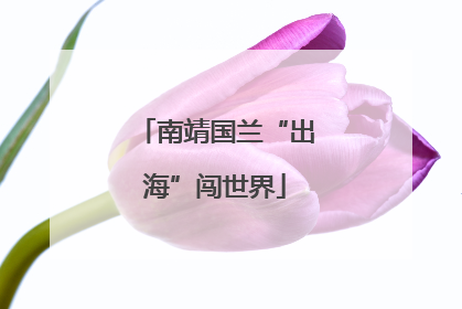 南靖国兰“出海”闯世界