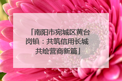 南阳市宛城区黄台岗镇：共筑信用长城 共绘营商新篇