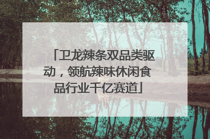 卫龙辣条双品类驱动，领航辣味休闲食品行业千亿赛道