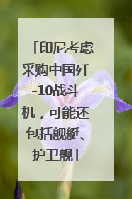 印尼考虑采购中国歼-10战斗机，可能还包括舰艇、护卫舰