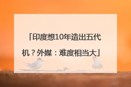 印度想10年造出五代机？外媒：难度相当大