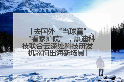 去国外“当球童”、“看家护院”，康迪科技联合云深处科技研发机器狗出海新场景