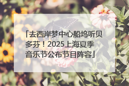 去西岸梦中心船坞听贝多芬！2025上海夏季音乐节公布节目阵容