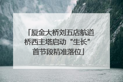 厦金大桥刘五店航道桥西主塔启动“生长” 首节段精准落位