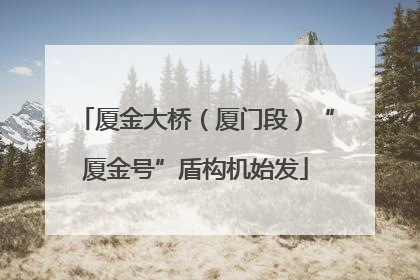 厦金大桥（厦门段）“厦金号”盾构机始发