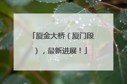 厦金大桥（厦门段），最新进展！