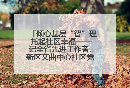 倾心基层“智”理 托起社区幸福——记全省先进工作者、新区文曲中心社区党委书记董世弘