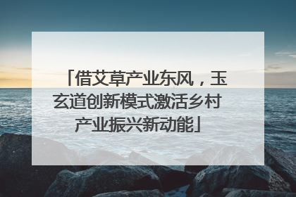 借艾草产业东风，玉玄道创新模式激活乡村产业振兴新动能