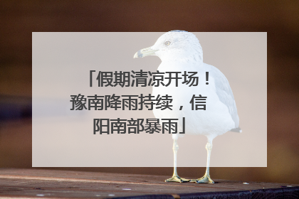 假期清凉开场！豫南降雨持续，信阳南部暴雨
