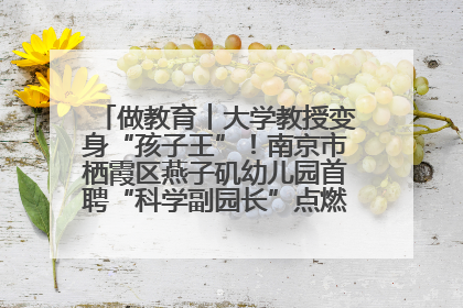 做教育︱大学教授变身“孩子王”！南京市栖霞区燕子矶幼儿园首聘“科学副园长”点燃萌娃科学梦