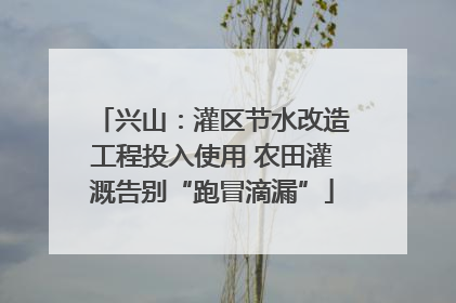 兴山：灌区节水改造工程投入使用 农田灌溉告别“跑冒滴漏”
