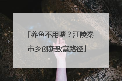 养鱼不用塘？江陵秦市乡创新致富路径