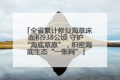 全省累计修复海草床面积938公顷 守护“海底草原”，织密海底生态“一张网”