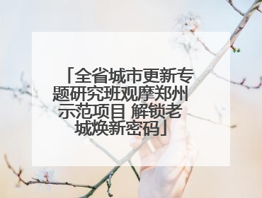 全省城市更新专题研究班观摩郑州示范项目 解锁老城焕新密码