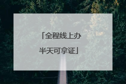 全程线上办 半天可拿证