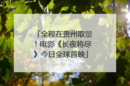 全程在贵州取景！电影《长夜将尽》今日全球首映